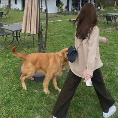 猪妖传